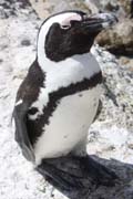 images/album/animals/15.jpg