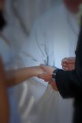images/album/weddings/8.jpg